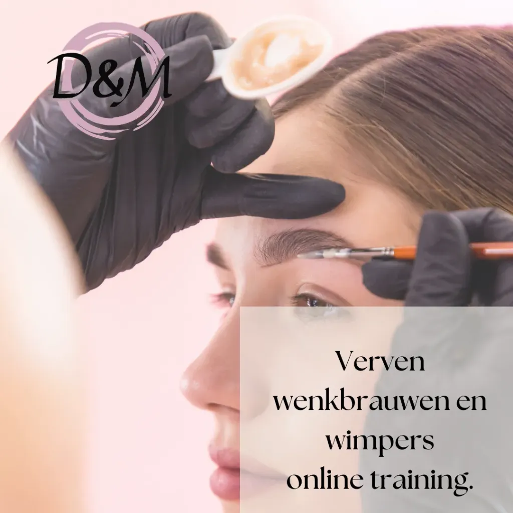 Online Training Wimpers en Wenkbrauwen Verven