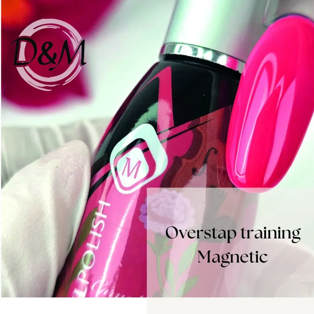 Overstaptraining Magnetic Nail Design – 1 uur